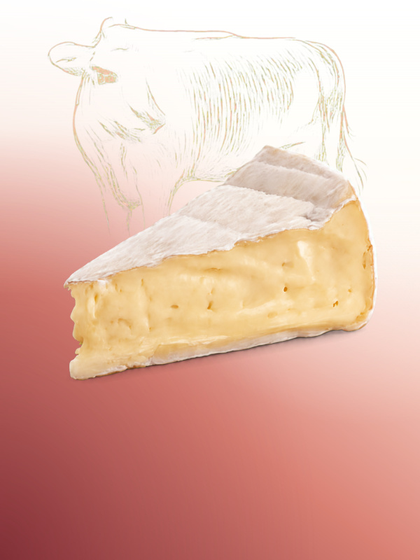 Quesos de leche de vaca artesanales Salvatore