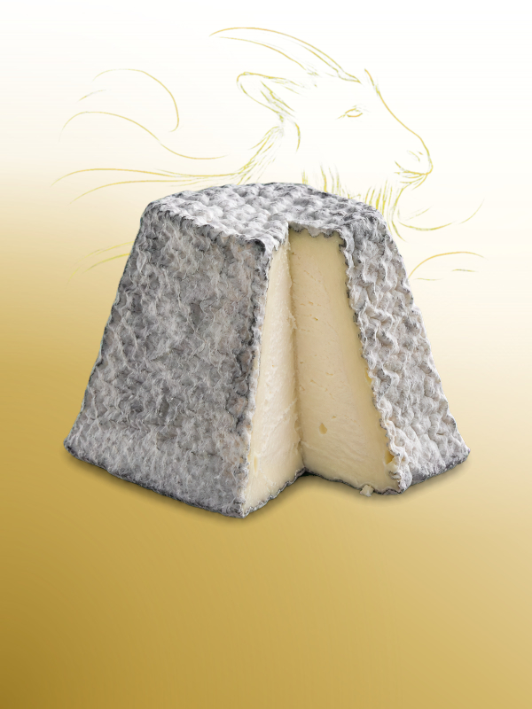 Queso pir&aacute;mide de cabra con ceniza Salvatore